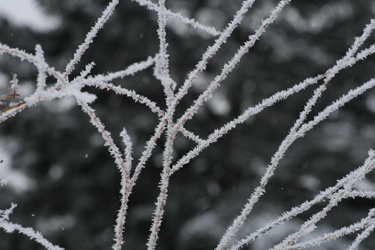 Mobiliario de frio industrial 11