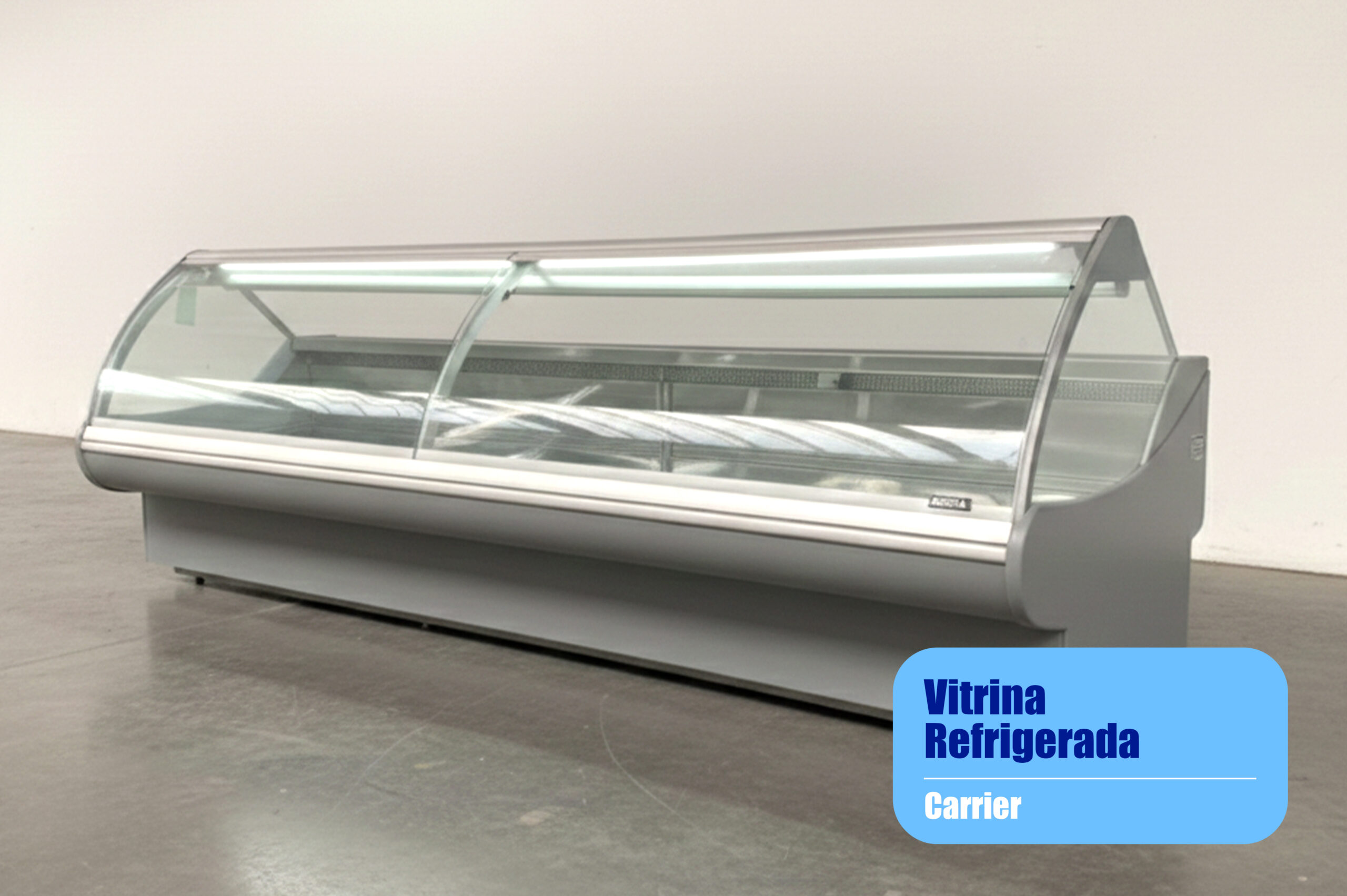 T-094 Vitrina Refrigerada VITRINA REFRIGERADA EXPOSITORA - Imagen 1